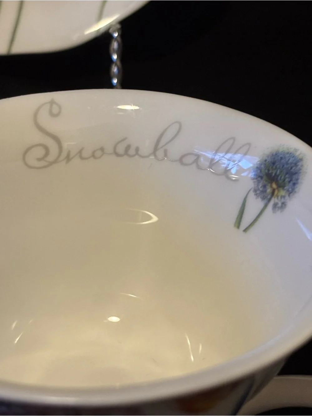 Stechol Bone China Snowball Teacup and Saucer Floral Design